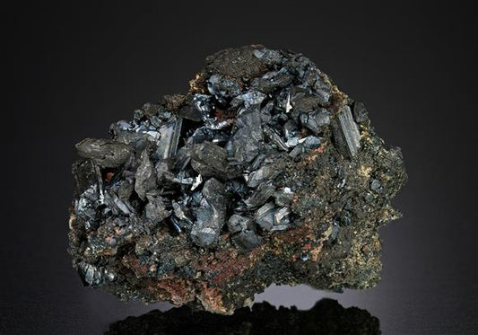CC12812 specimen image