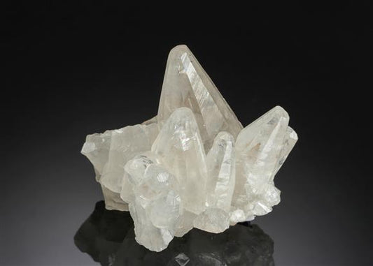 CC12819 specimen image