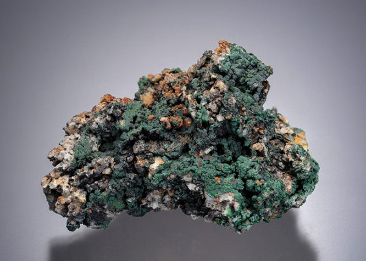 CC12856 specimen image