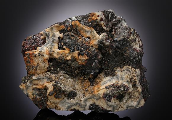 CC12874 specimen image