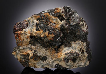 CC12874 specimen image