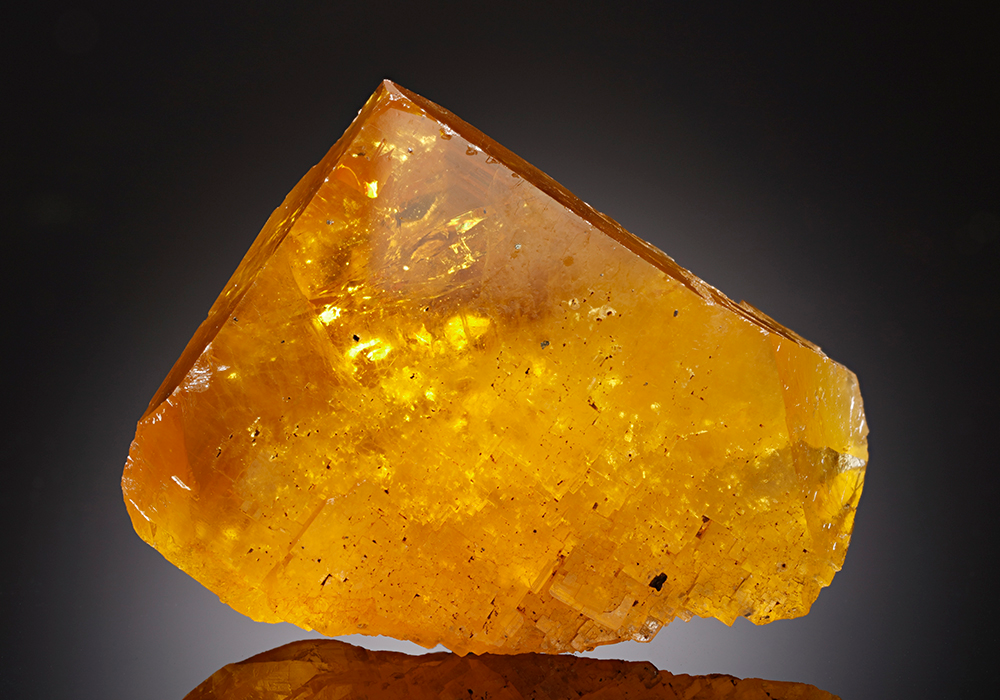 CC12875 specimen image