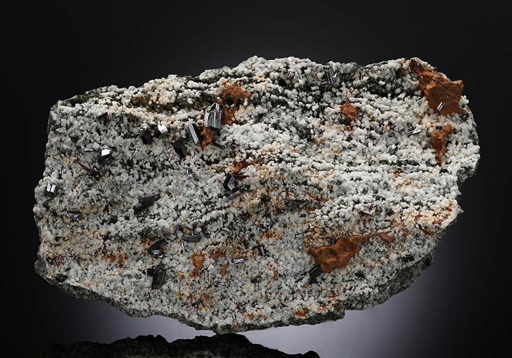 CC12876 specimen image