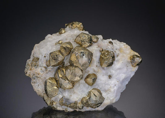 CC12889 specimen image