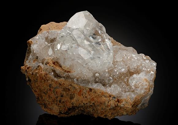 CC12892 specimen image