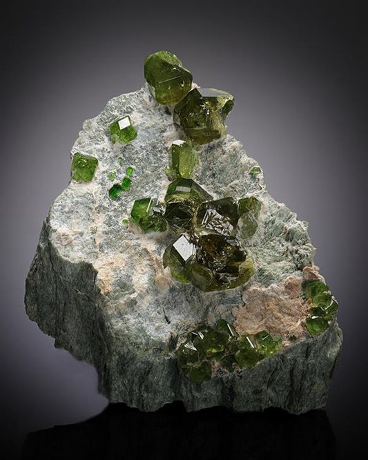 CC12894 specimen image