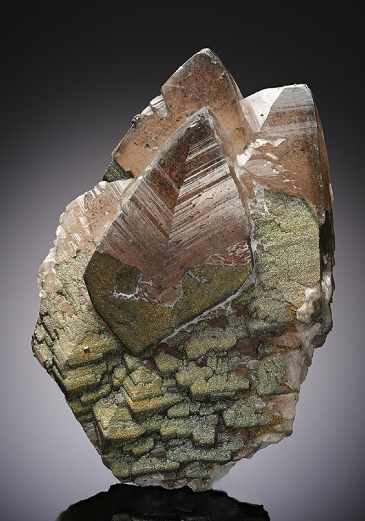 CC12896 specimen image