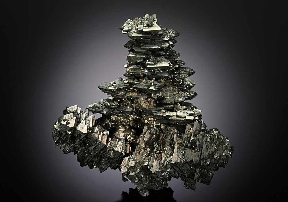 CC12900 specimen image