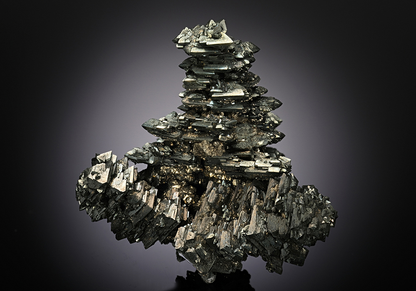 CC12900 specimen image