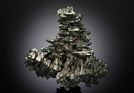 CC12900 specimen image