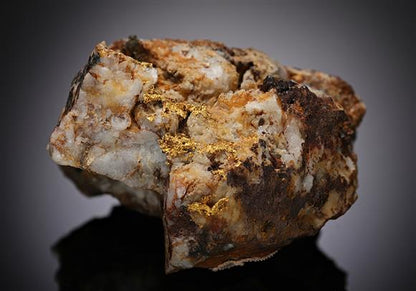 CC12901 specimen image