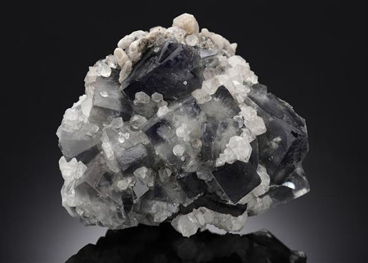 CC12916 specimen image