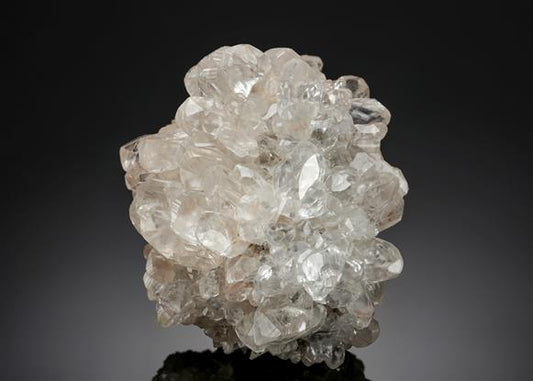 CC12919 specimen image
