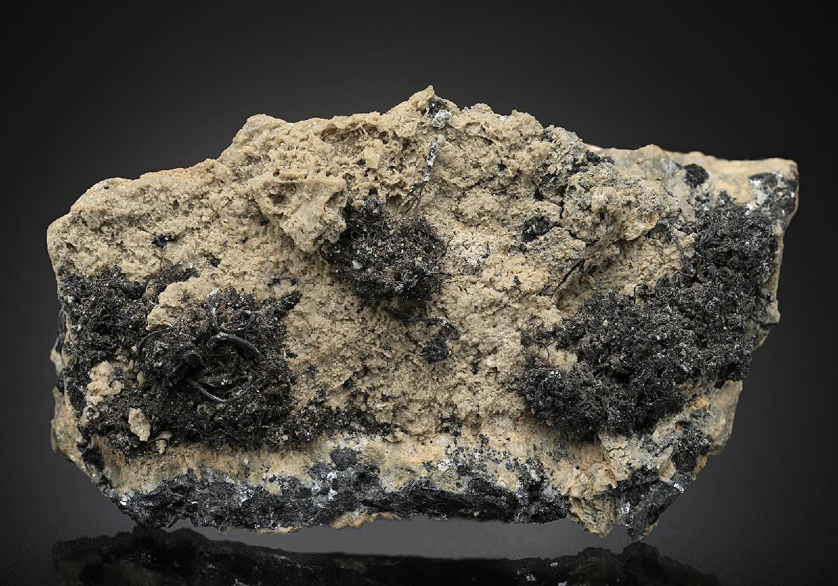 CC12926 specimen image