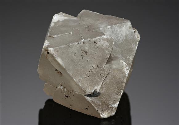 CC12929 specimen image