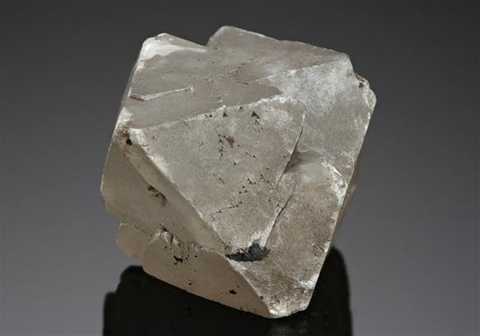 CC12929 specimen image