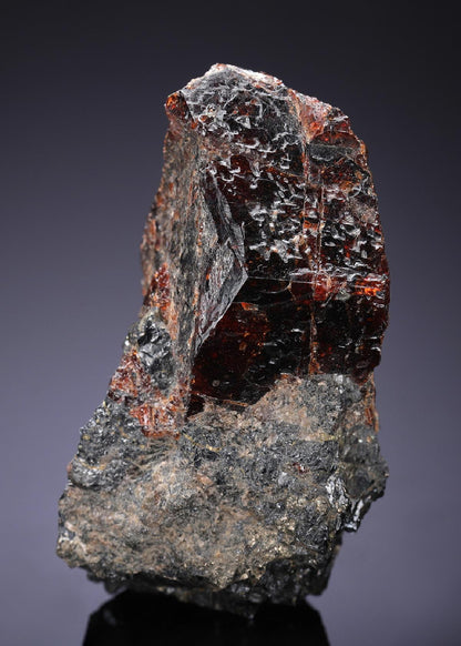 CC12963 specimen image