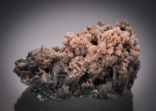 CC12965 specimen image