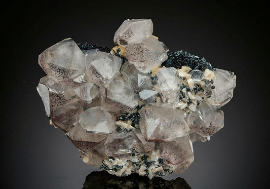CC12998 specimen image