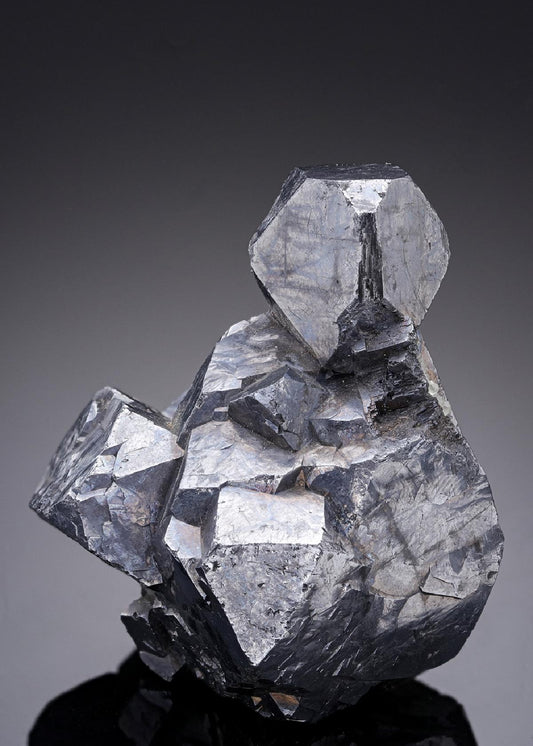 CC13011 specimen image