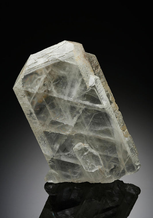 CC13022 specimen image