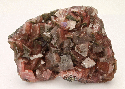 CC13033 specimen image