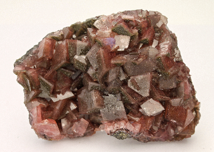 CC13033 specimen image