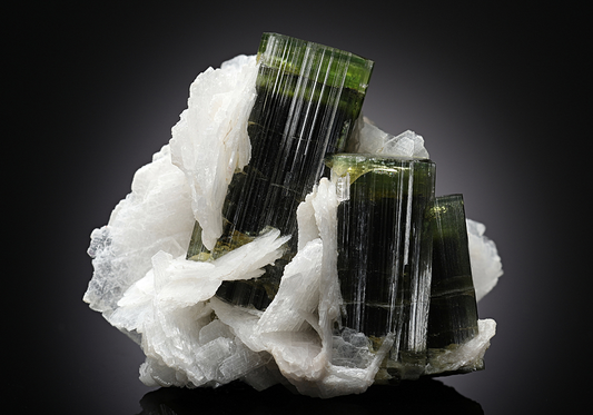 CC13035 specimen image