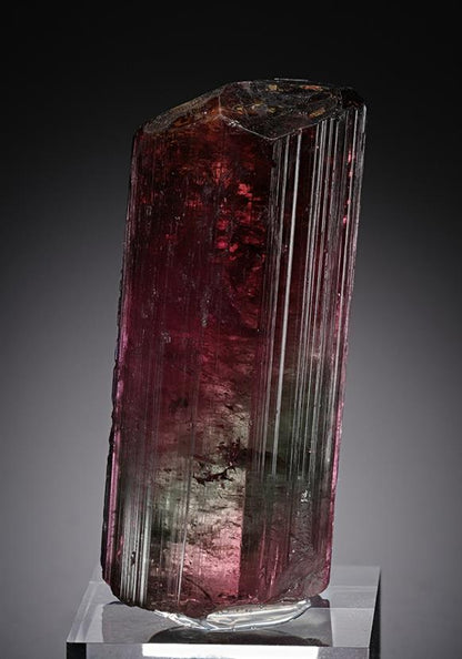 CC13036 specimen image