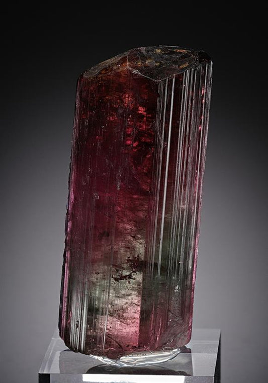 CC13036 specimen image