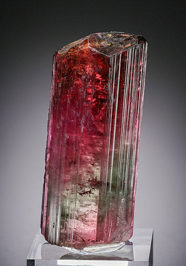 TOURMALINE