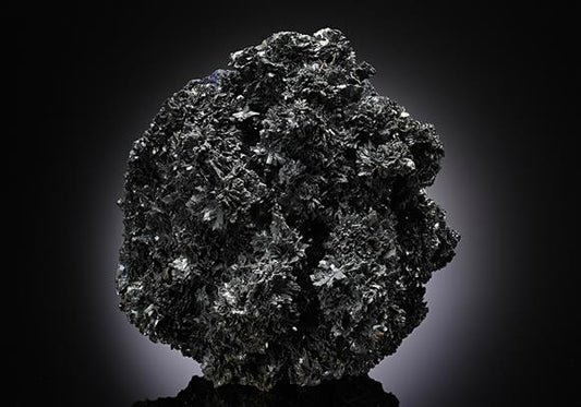 CC13039 specimen image