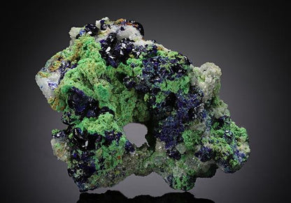 CC13040 specimen image