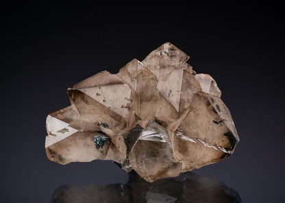 CC13043 specimen image