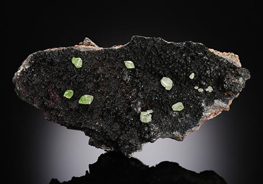 CC13053 specimen image