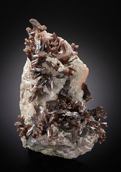 CC13056 specimen image