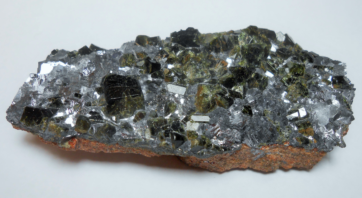 CC13058 specimen image