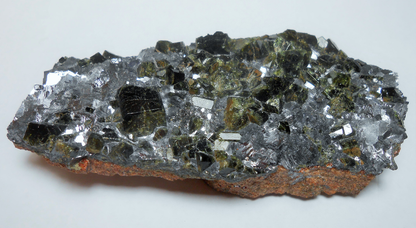 CC13058 specimen image