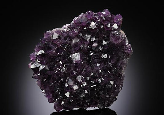 CC13071 specimen image