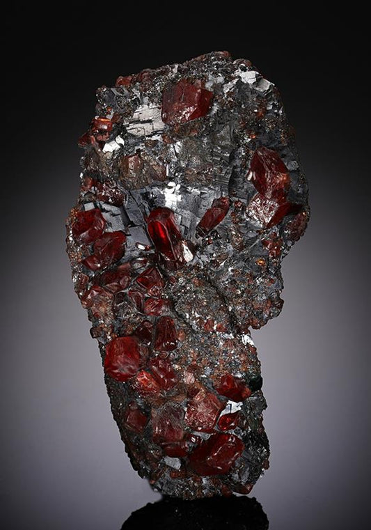 CC13080 specimen image
