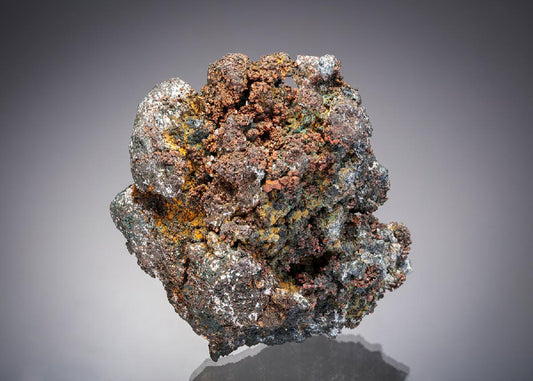 CC13095 specimen image