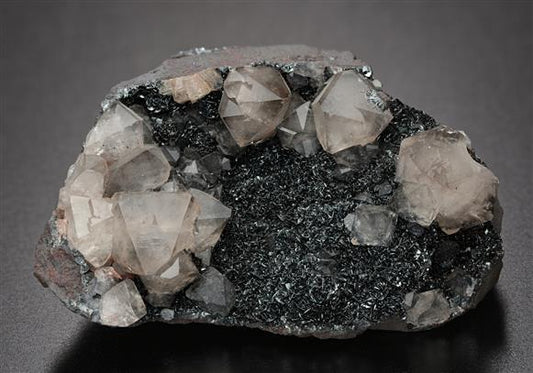 CC13097 specimen image