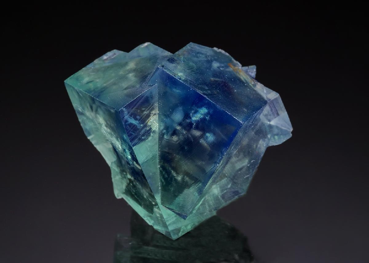 CC13108 specimen image