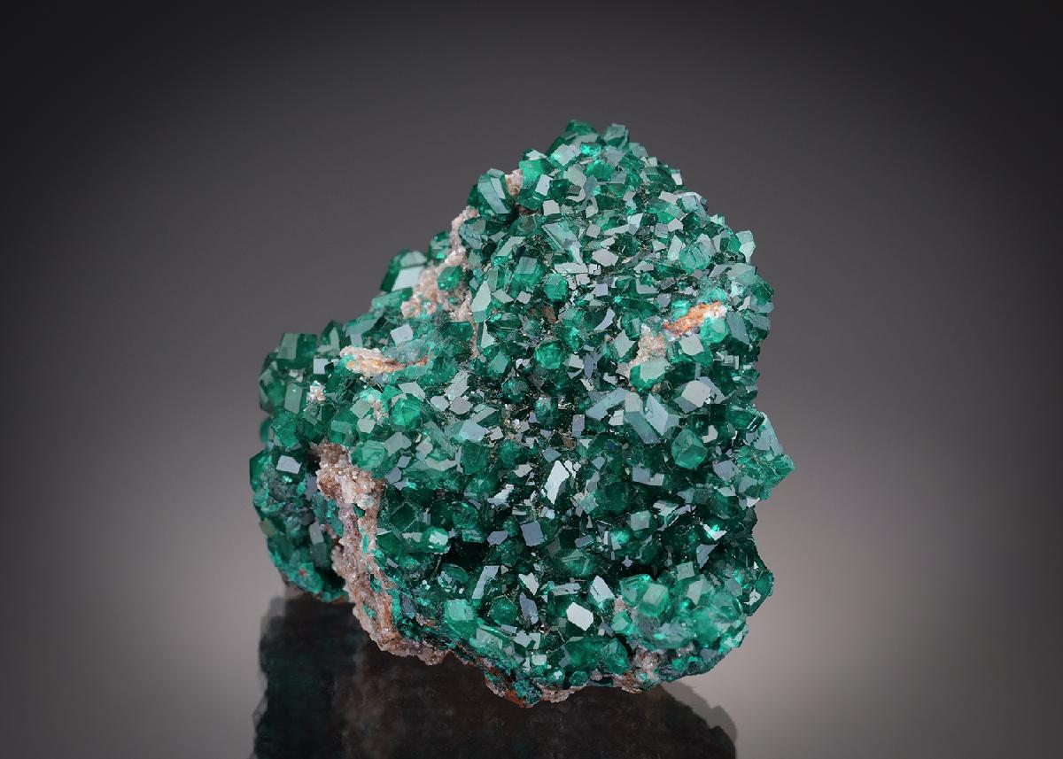 CC13117 specimen image