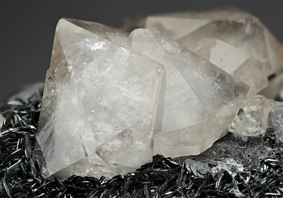 CC13122 specimen image