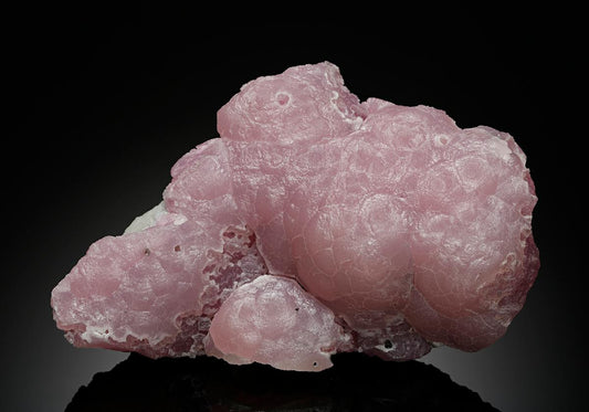 CC13126 specimen image