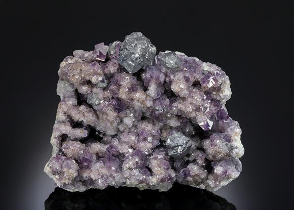 CC13148 specimen image