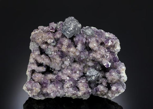 CC13148 specimen image
