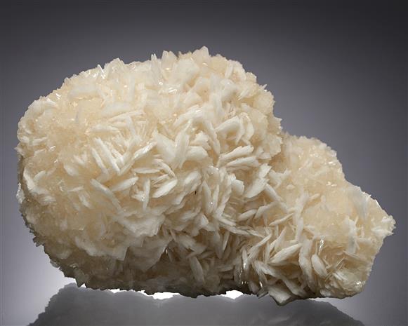 CC13149 specimen image