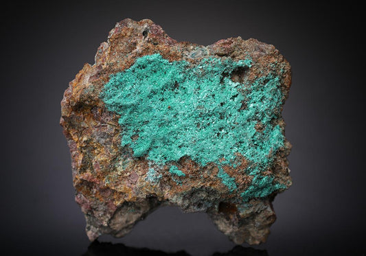 CC13158 specimen image